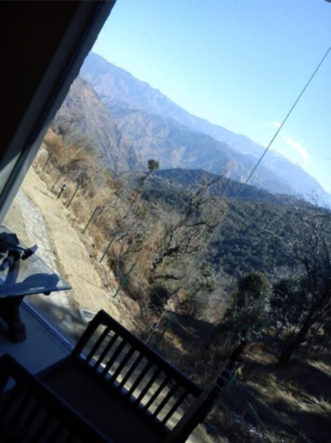 Natureraga Fernhill Resort Chail Buitenkant foto