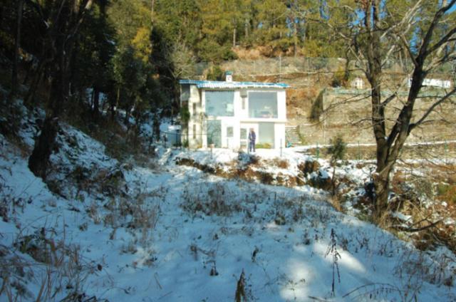 Natureraga Fernhill Resort Chail Buitenkant foto