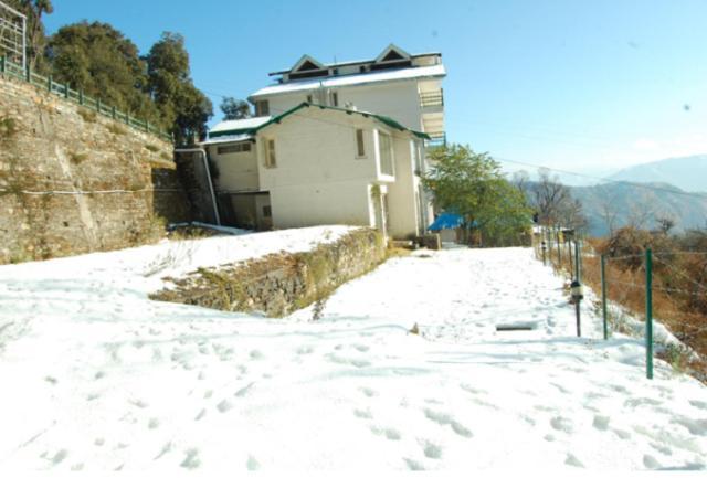 Natureraga Fernhill Resort Chail Buitenkant foto