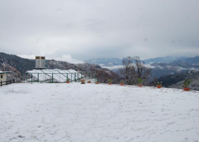 Natureraga Fernhill Resort Chail Buitenkant foto