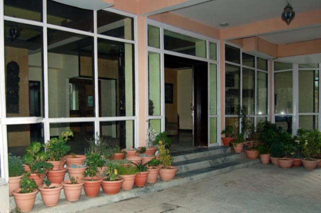 Natureraga Fernhill Resort Chail Buitenkant foto