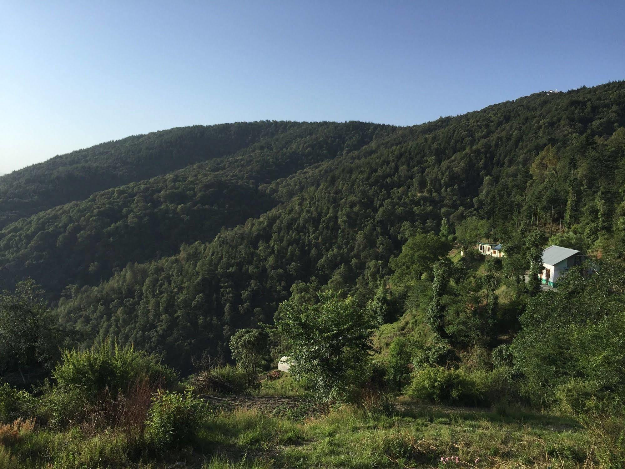 Natureraga Fernhill Resort Chail Buitenkant foto