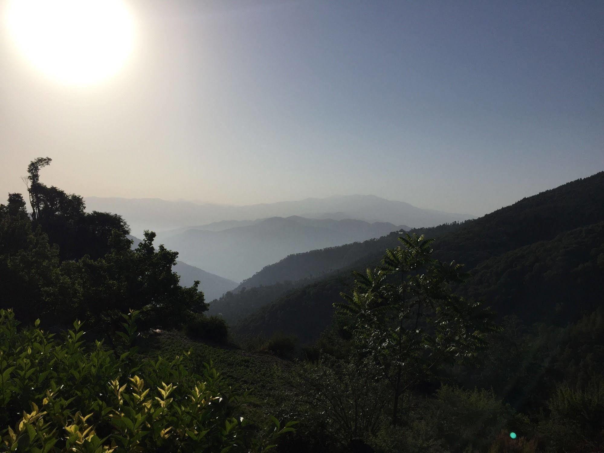 Natureraga Fernhill Resort Chail Buitenkant foto
