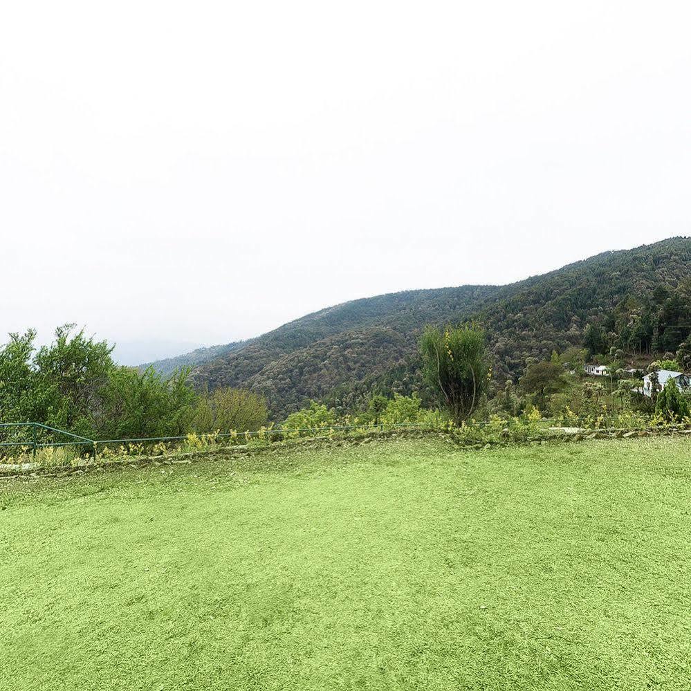 Natureraga Fernhill Resort Chail Buitenkant foto